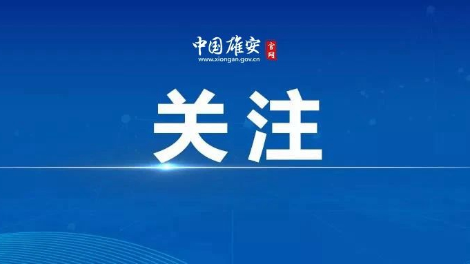 新闻分析｜共建引才工作站，150所高校带给雄安什么